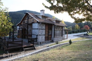 Vasiliki Mountain Farm & Retreat_travel_packages_in_Central Greece_Fthiotida_Pavliani