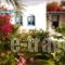 Agia Irini Villas_travel_packages_in_Cyclades Islands_Antiparos_Antiparos Chora