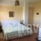 Rex_best prices_in_Hotel_Peloponesse_Ilia_Zacharo