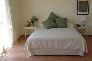 Rex_lowest prices_in_Hotel_Peloponesse_Ilia_Zacharo