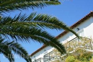 New Ionia Hotel_lowest prices_in_Hotel_Aegean Islands_Samos_Pythagorio