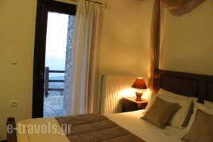 Archontiko Xantha_holidays_in_Room_Thessaly_Magnesia_Makrinitsa