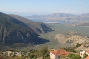 Olympic Hotel_lowest prices_in_Hotel_Central Greece_Fokida_Delfi