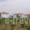 Carpe Diem_lowest prices_in_Room_Aegean Islands_Lesvos_Lesvos Rest Areas