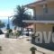 Gkoloi Studios & Apartments_best deals_Apartment_Macedonia_Halkidiki_Poligyros