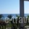 Afroditi Beach_holidays_in_Hotel_Macedonia_Halkidiki_Poligyros