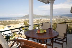 Niver Plaza_best deals_Hotel_Ionian Islands_Lefkada_Lefkada's t Areas