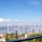 Raymondos Apartments_best prices_in_Apartment_Ionian Islands_Kefalonia_Argostoli