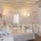 Mykonian Studios_travel_packages_in_Cyclades Islands_Mykonos_Agios Ioannis