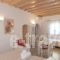 Mykonian Studios_best deals_Hotel_Cyclades Islands_Mykonos_Agios Ioannis