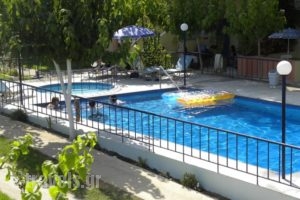 Leonidas Studios & Apartments_best prices_in_Apartment_Crete_Chania_Vryses Apokoronas