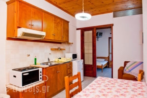 Zanna Apartments_holidays_in_Apartment_Sporades Islands_Skiathos_Skiathoshora
