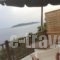 Mandaniki Apartments_best deals_Apartment_Sporades Islands_Skiathos_Skiathos Rest Areas