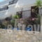 Pension Dimitra_holidays_in_Hotel_Sporades Islands_Skopelos_Skopelos Chora