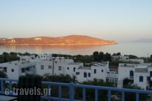 Medusa Apartments_accommodation_in_Apartment_Cyclades Islands_Serifos_Livadi