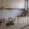 Avlakia Beach Studios & Apartments_holidays_in_Apartment_Aegean Islands_Samos_Samos Chora