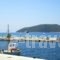 Maria Studios_holidays_in_Hotel_Sporades Islands_Skopelos_Neo Klima - Elios