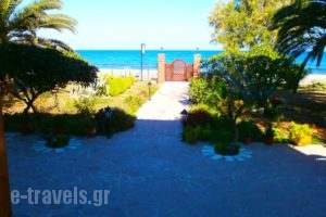Studios Stefani_best prices_in_Hotel_Aegean Islands_Lesvos_Petra