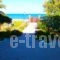 Studios Stefani_best prices_in_Hotel_Aegean Islands_Lesvos_Petra