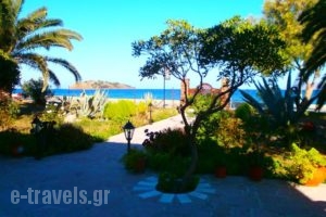 Studios Stefani_best deals_Hotel_Aegean Islands_Lesvos_Petra