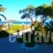 Studios Stefani_best deals_Hotel_Aegean Islands_Lesvos_Petra