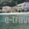 Avlakia Beach Studios & Apartments_lowest prices_in_Apartment_Aegean Islands_Samos_Samos Chora