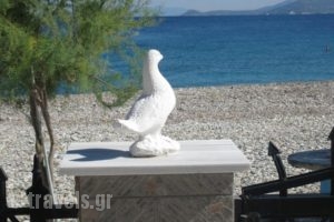 Avlakia Beach Studios & Apartments_best prices_in_Apartment_Aegean Islands_Samos_Samos Chora