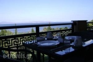 Pantheon Hotel & Suites_lowest prices_in_Hotel_Central Greece_Evia_Nea Artaki