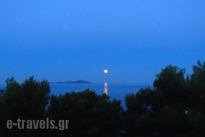 Ikion Eco Boutique Hotel_best deals_Hotel_Sporades Islands_Alonnisos_Patitiri