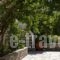 Kolios House_best deals_Hotel_Sporades Islands_Skiathos_Skiathos Chora