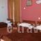 Hotel Alexandrion_best prices_in_Hotel_Thessaly_Magnesia_Pilio Area