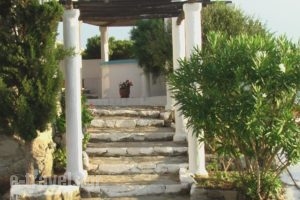 Mourtzakis_lowest prices_in_Hotel_Cyclades Islands_Mykonos_Mykonos ora