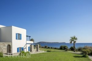 Poseidon Of Paros Resort' Spa_lowest prices_in_Hotel_Cyclades Islands_Antiparos_Antiparos Chora