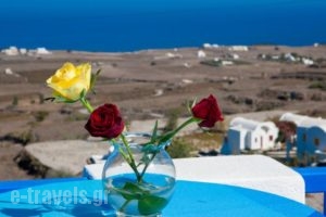 Georgis Apartments_best prices_in_Apartment_Cyclades Islands_Sandorini_Oia