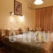 Hermes Hotel_best deals_Hotel_Central Greece_Fokida_Delfi