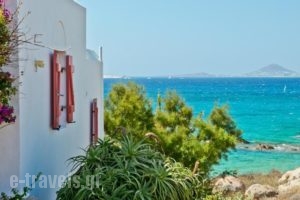 Ydreos Studios & Apartments_best prices_in_Apartment_Cyclades Islands_Naxos_Mikri Vigla
