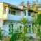 Villa Katerina_accommodation_in_Villa_Ionian Islands_Corfu_Corfu Rest Areas