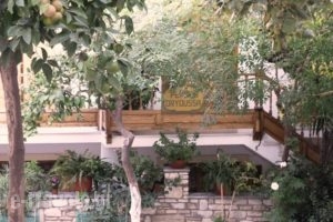 Pension Dryoussa_accommodation_in_Hotel_Aegean Islands_Samos_Pythagorio