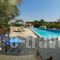 Emily Villas_best prices_in_Villa_Ionian Islands_Kefalonia_Vlachata