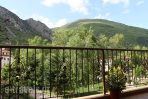 Xenonas Platia_holidays_in_Hotel_Macedonia_Pella_Aridea