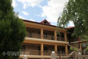 Xenonas Platia_accommodation_in_Hotel_Macedonia_Pella_Aridea