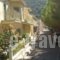 Evangelia_best prices_in_Hotel_Ionian Islands_Kefalonia_Aghia Efimia