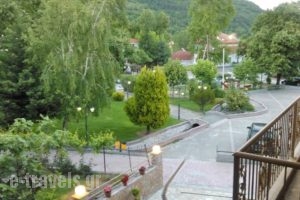 Xenonas Platia_travel_packages_in_Macedonia_Pella_Aridea