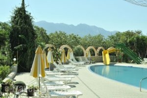 Fili Hotel Apartments_holidays_in_Apartment_Dodekanessos Islands_Kos_Kos Rest Areas