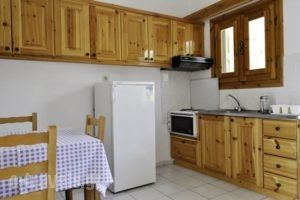 Sofia Apartments_lowest prices_in_Apartment_Aegean Islands_Samos_Samos Rest Areas