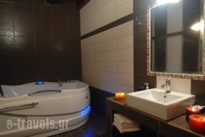 Pierion Mouses Elatochori_accommodation_in_Hotel_Macedonia_Pieria_Katerini