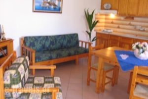 Pension Gioula_best deals_Hotel_Sporades Islands_Alonnisos_Patitiri