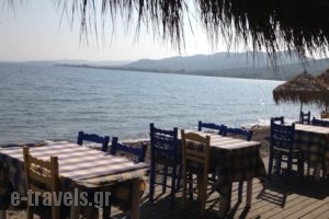 Nifida Beach Hotel_holidays_in_Hotel_Aegean Islands_Lesvos_Polihnitos