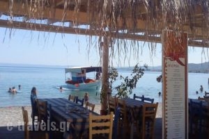 Nifida Beach Hotel_best deals_Hotel_Aegean Islands_Lesvos_Polihnitos