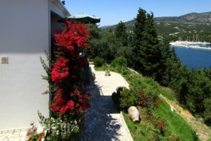 Villa Polyxeni Apartments_best prices_in_Villa_Ionian Islands_Lefkada_Sivota